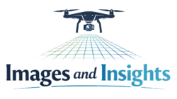 images & insights logo no bkgnd 2026.04.12