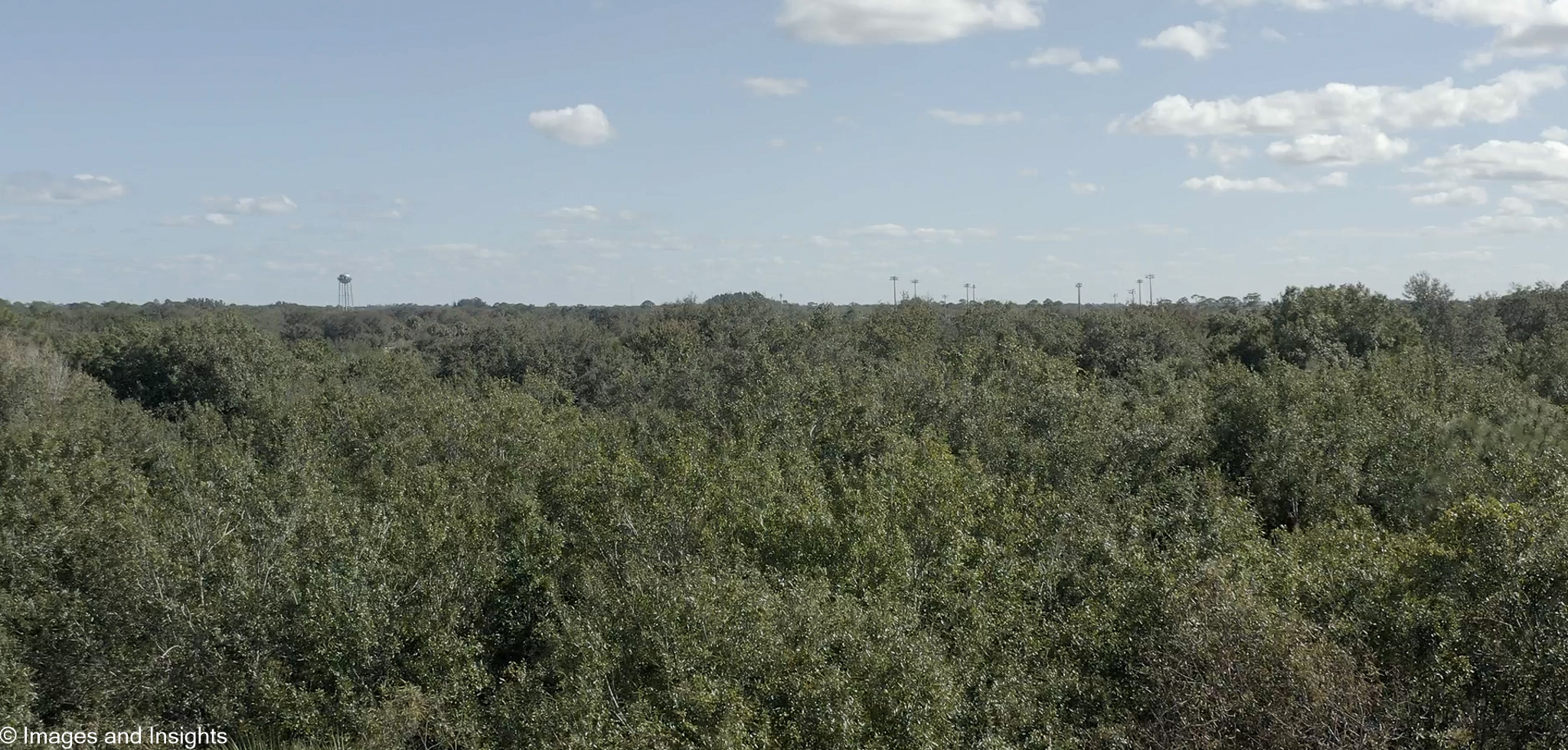 Vacant land drone survey Brevard County — wide aerial view above treetops